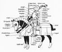 armordescription4we.jpg