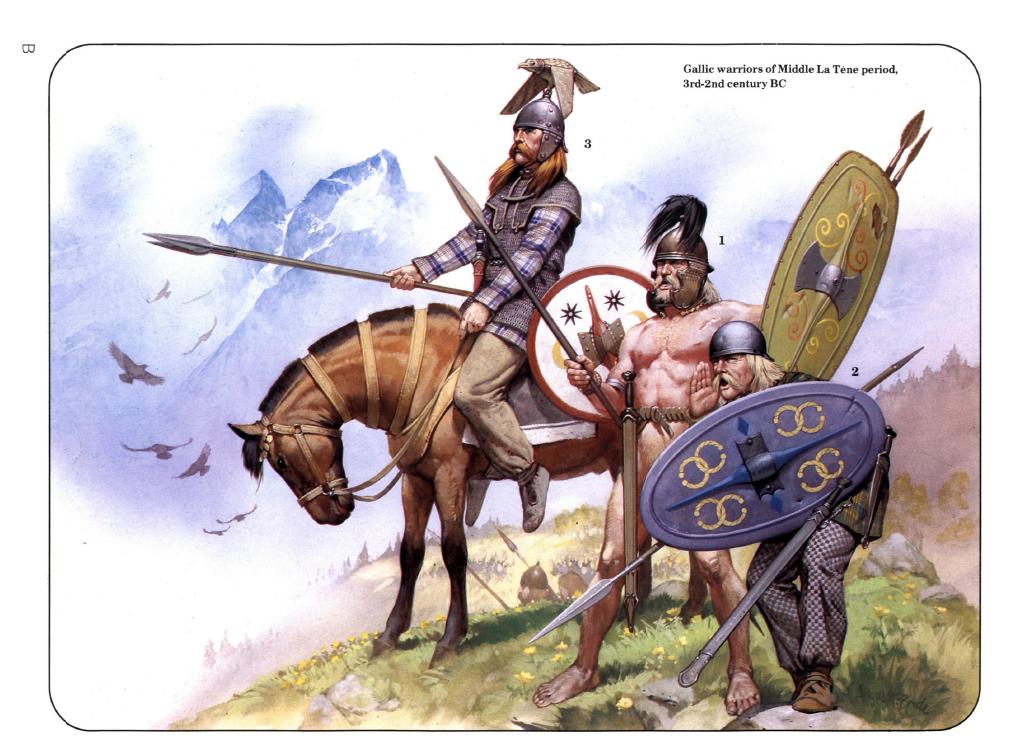 gaul25tg.jpg