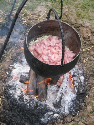 Poulet au citron et épices 
