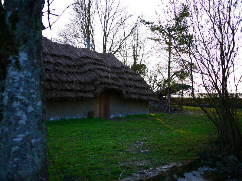 Maison et abri 