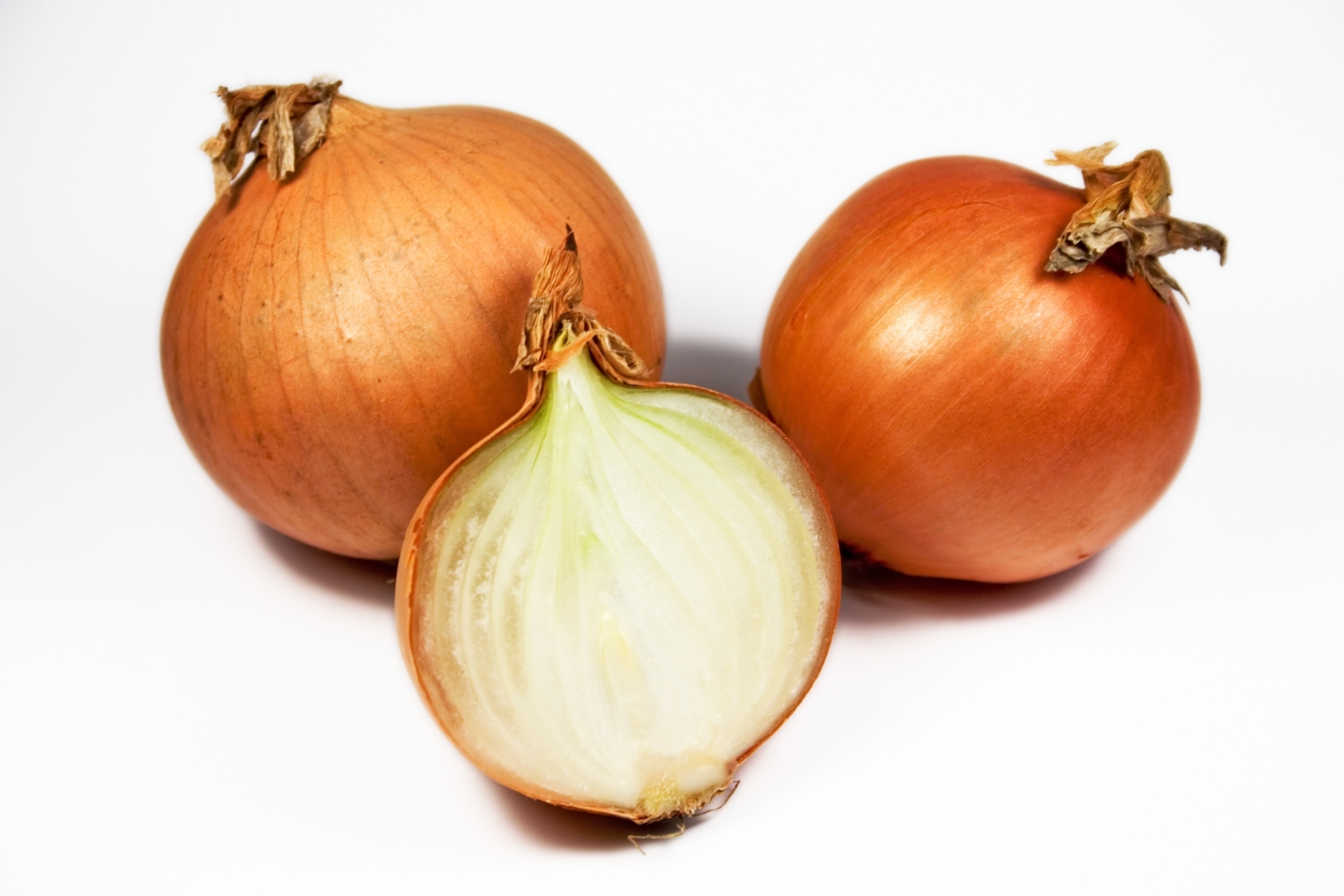 Oignon Bulbes