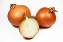 Oignon Bulbes